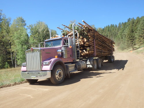 GDMBR: The Timber Industry was working and they drove Kenworth's.
